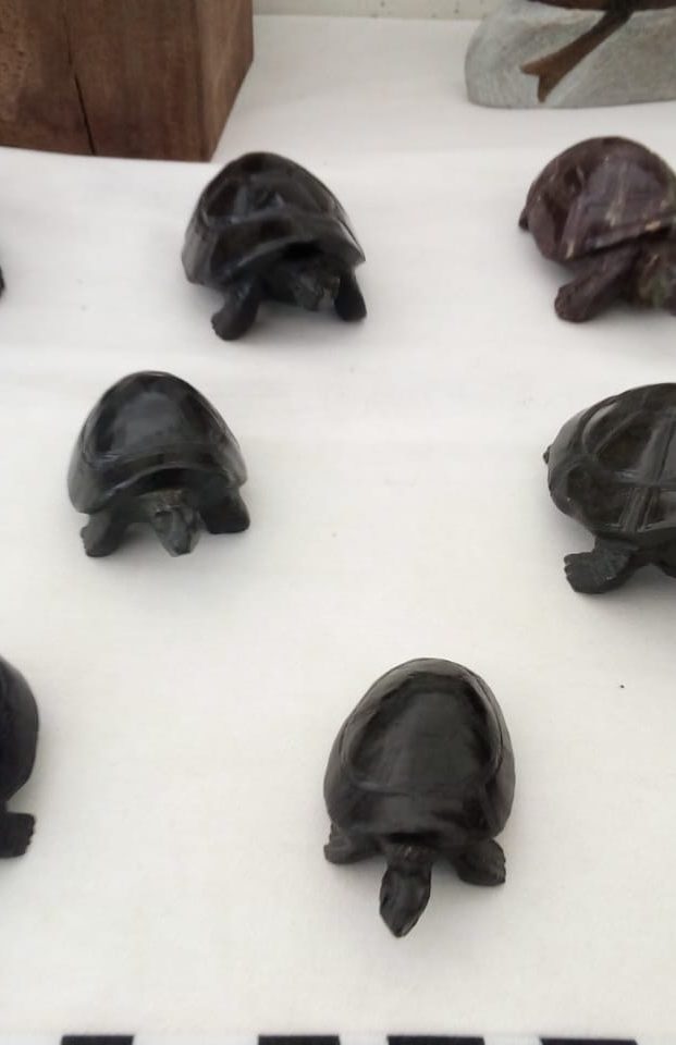 Collection of Turtle Figurines on White Surface